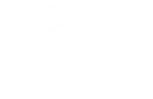 hilton