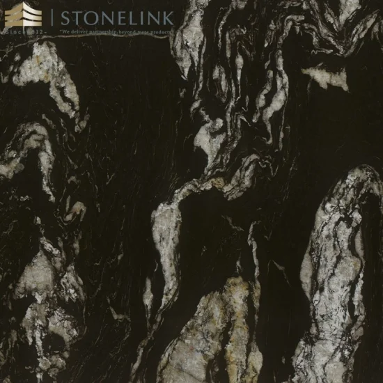 Brazil Cosmic Black granite slab