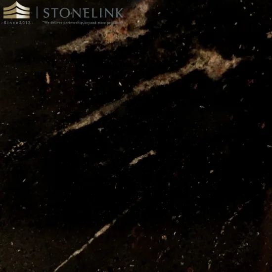 Galaxy Oro black quartzite slab