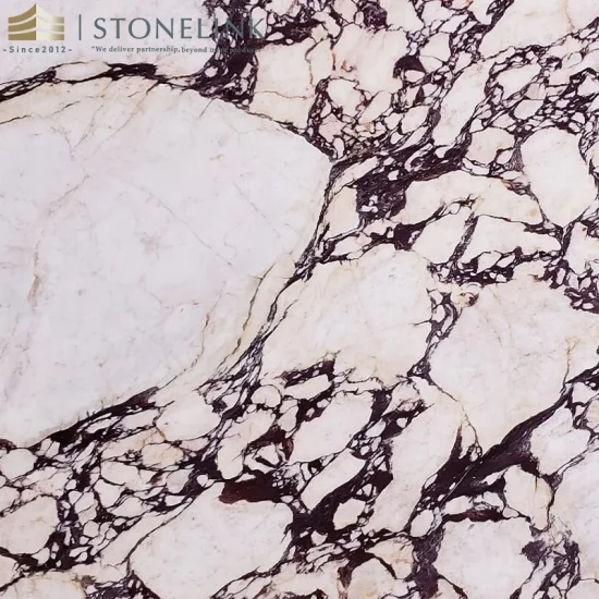 Natural calacatta viola marble slab