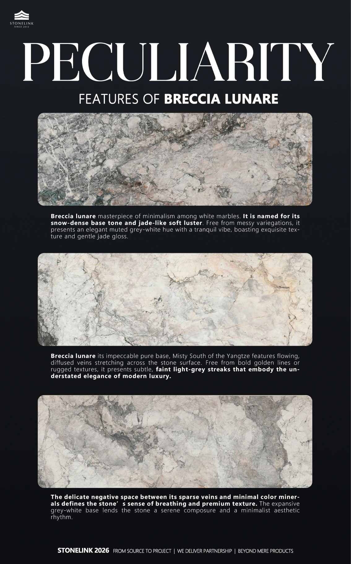 Breccia Lunare Distinctive Features